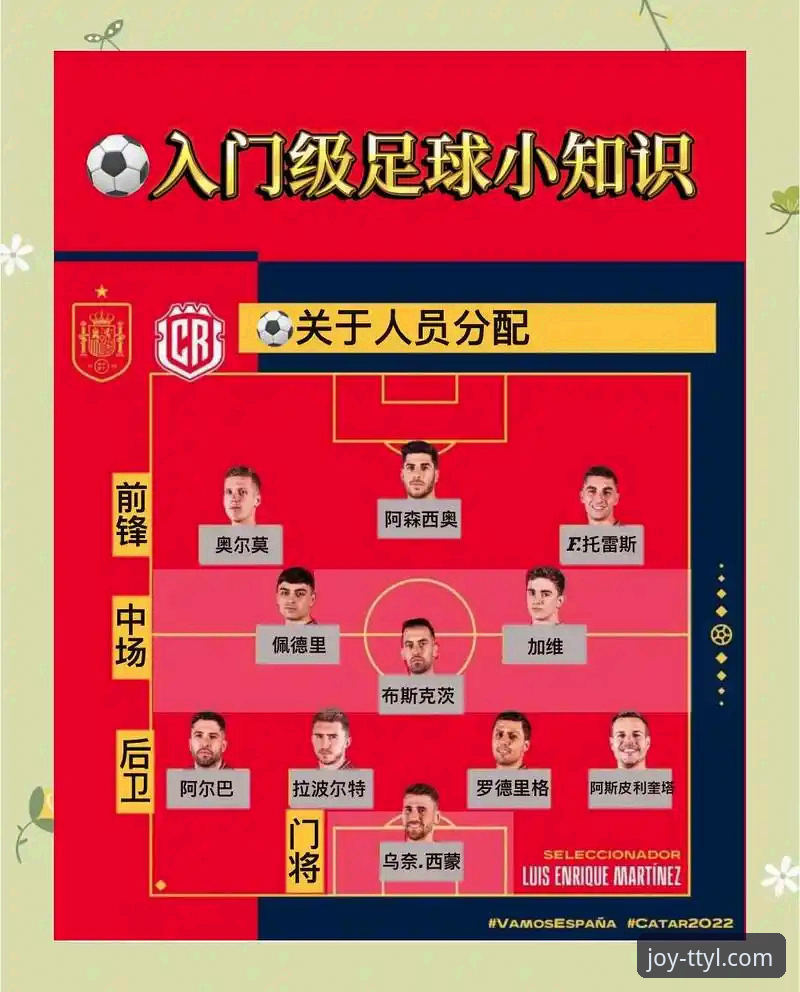 从波黑点球淘汰意大利看体育赛事的观赛实用指南